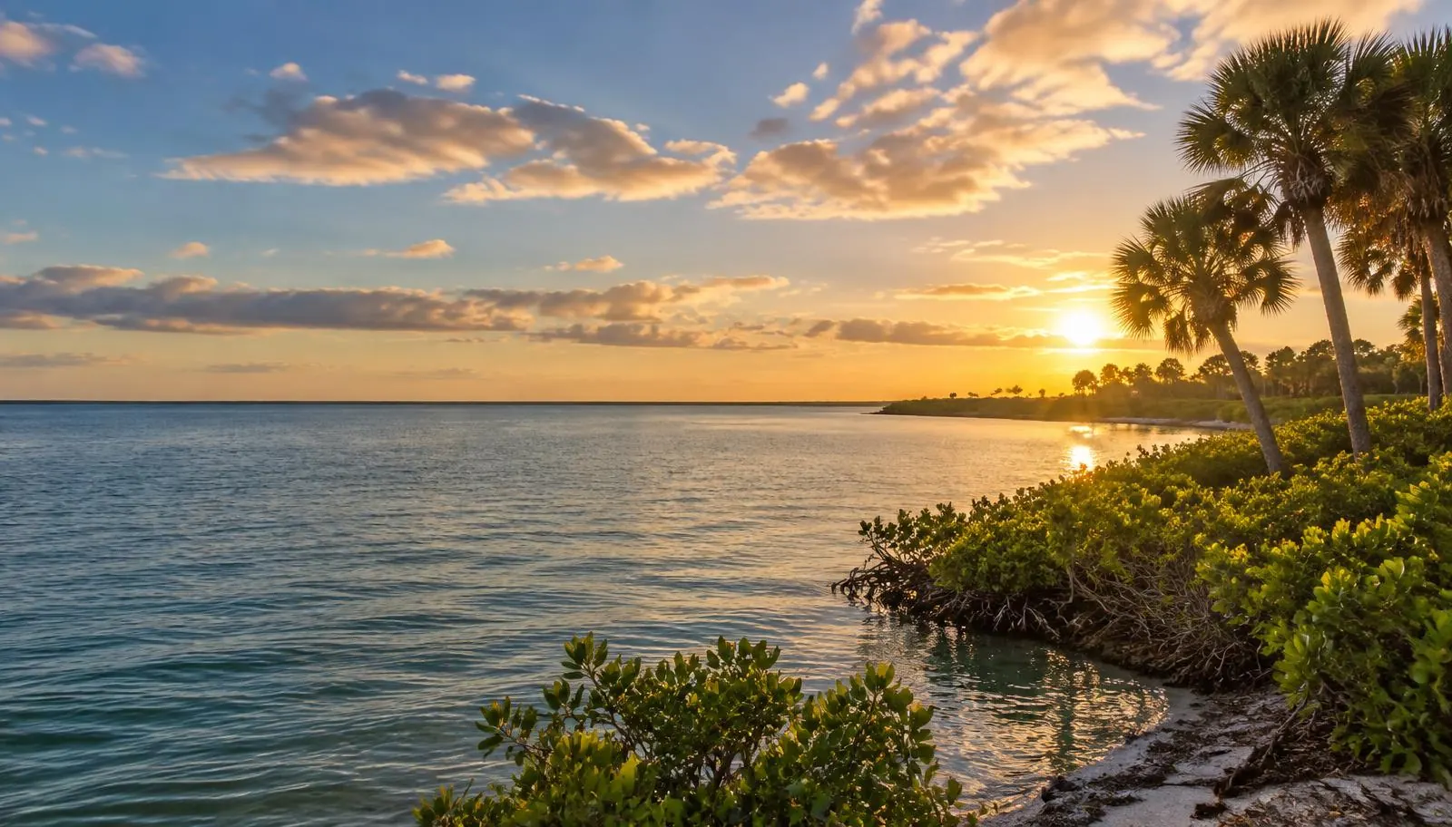 Tampa Bay shoreline in South Shore, Florida